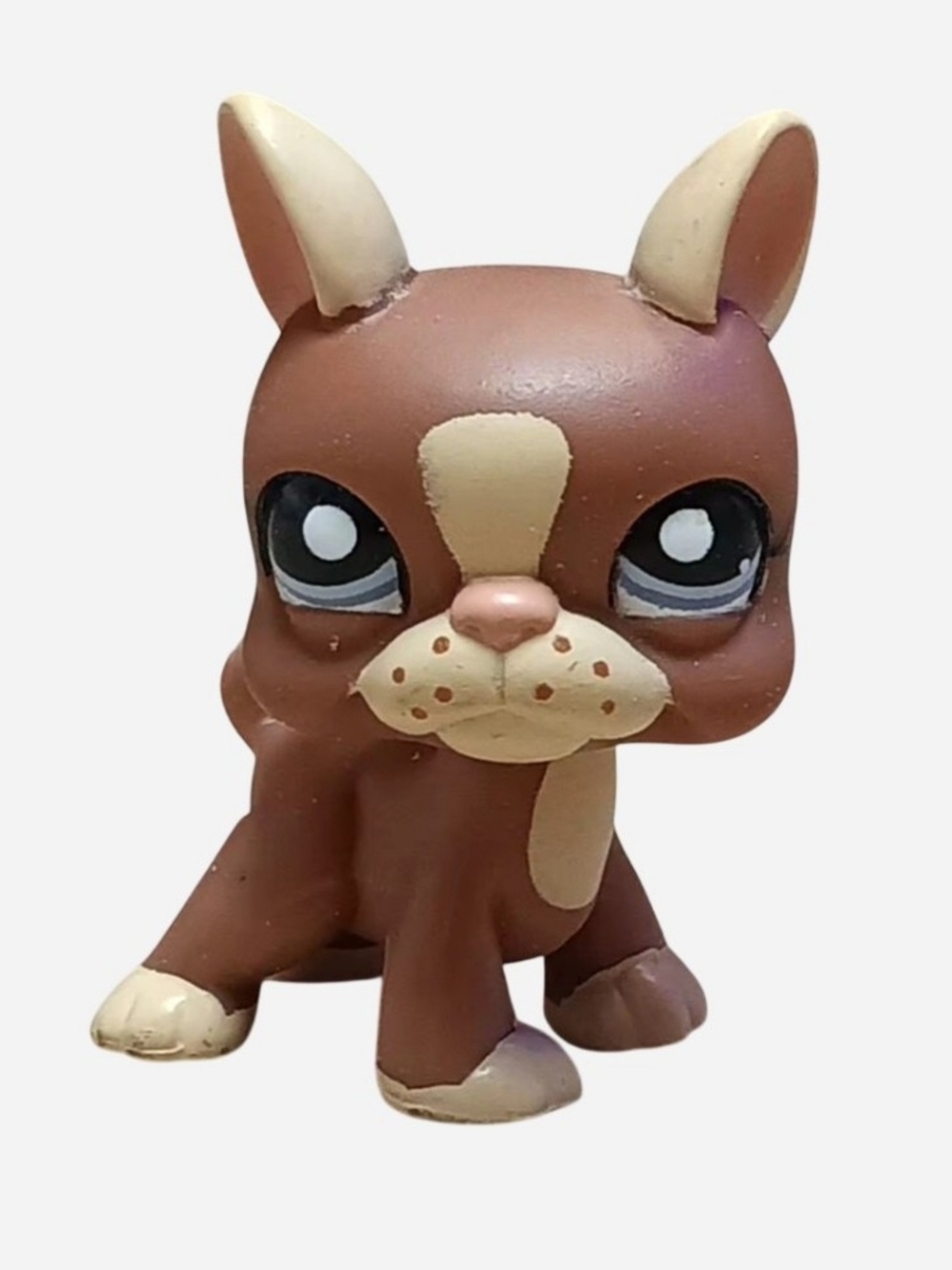 Lps #1789 Boston Terrier